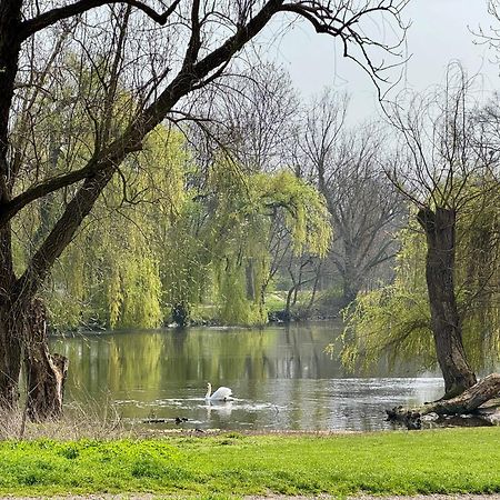 Strasbourg, Appartement Cosy Au Bord De L Eau Exteriör bild