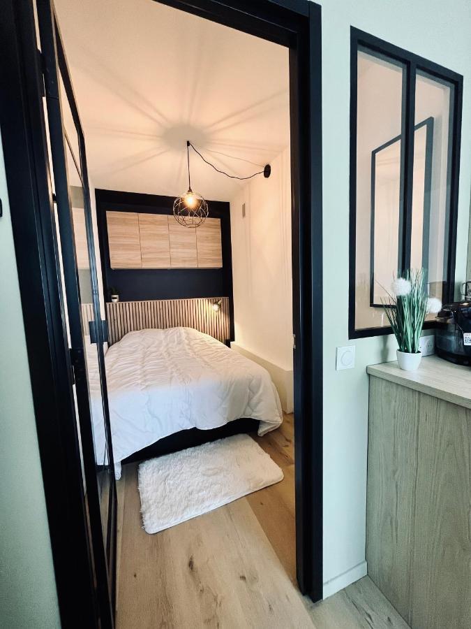 Strasbourg, Appartement Cosy Au Bord De L Eau Exteriör bild