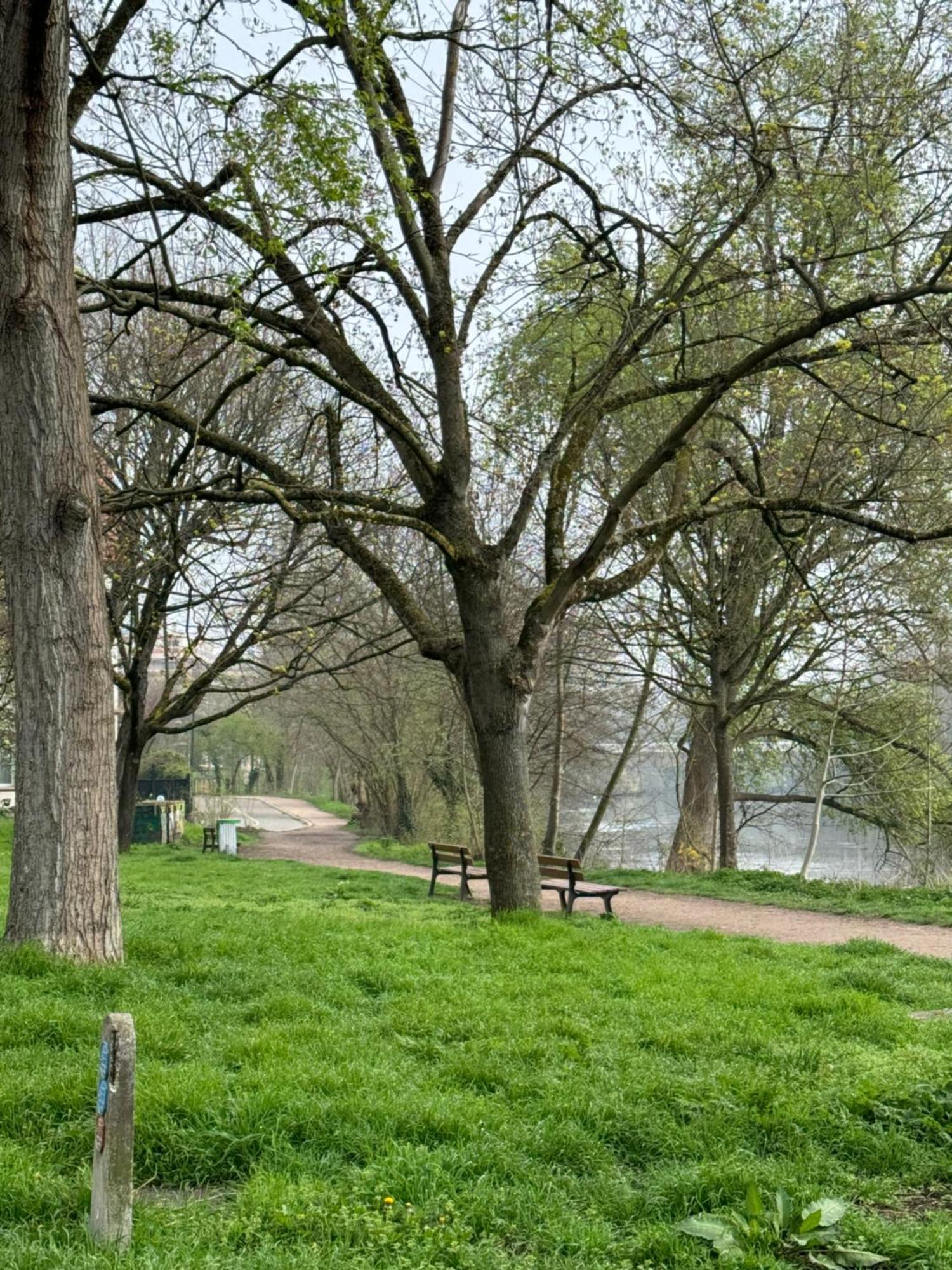 Strasbourg, Appartement Cosy Au Bord De L Eau Exteriör bild