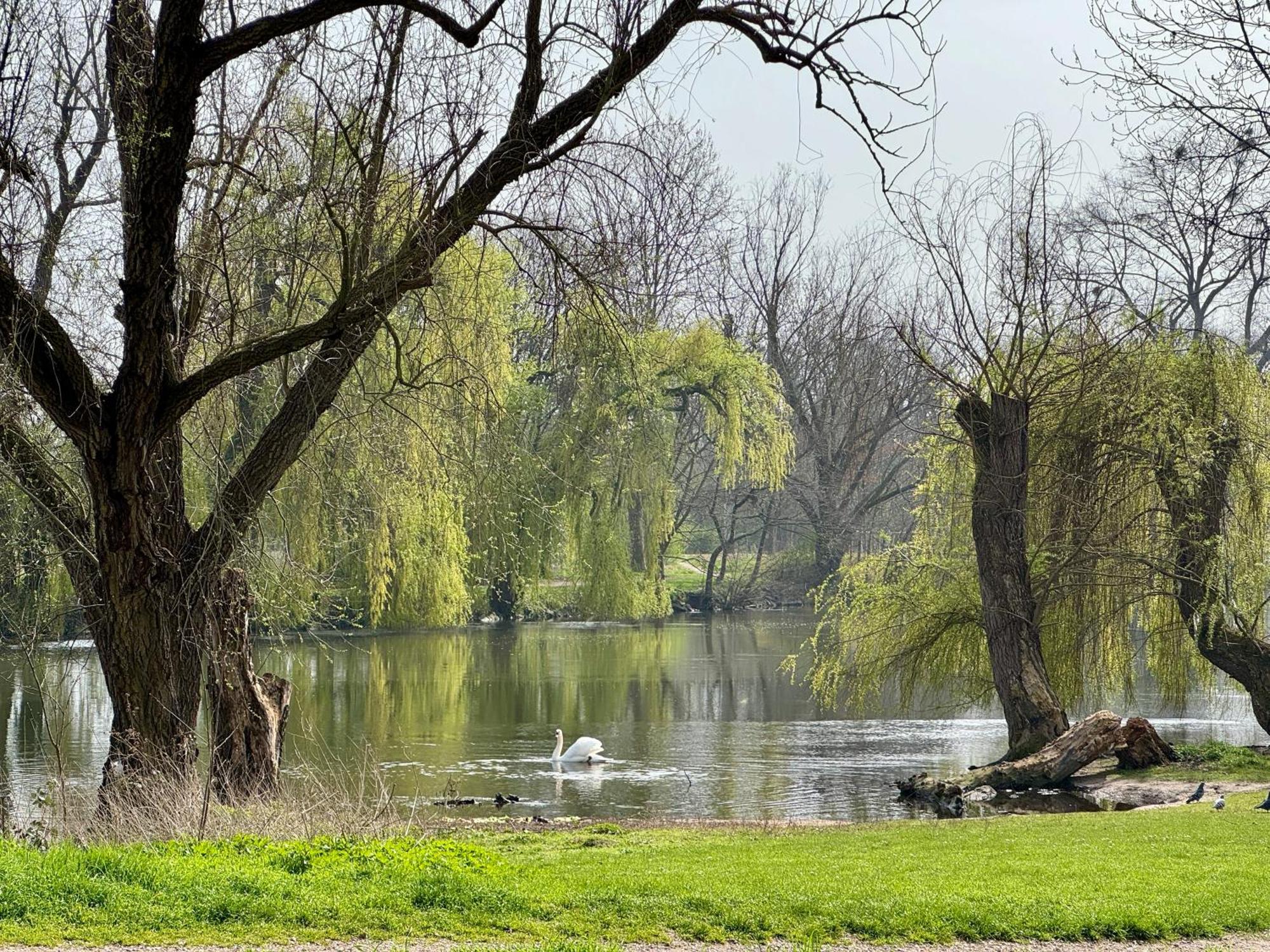 Strasbourg, Appartement Cosy Au Bord De L Eau Exteriör bild