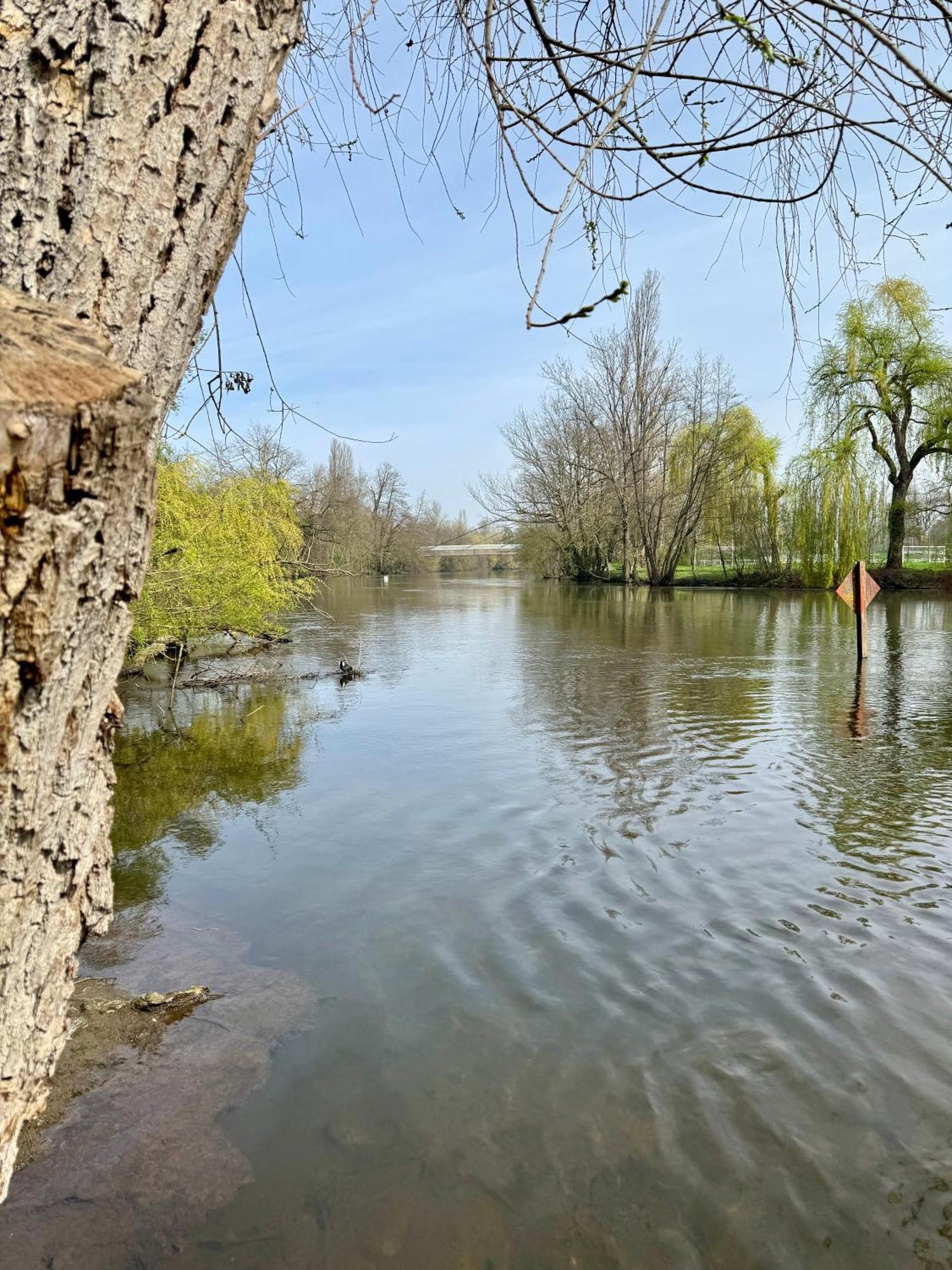 Strasbourg, Appartement Cosy Au Bord De L Eau Exteriör bild